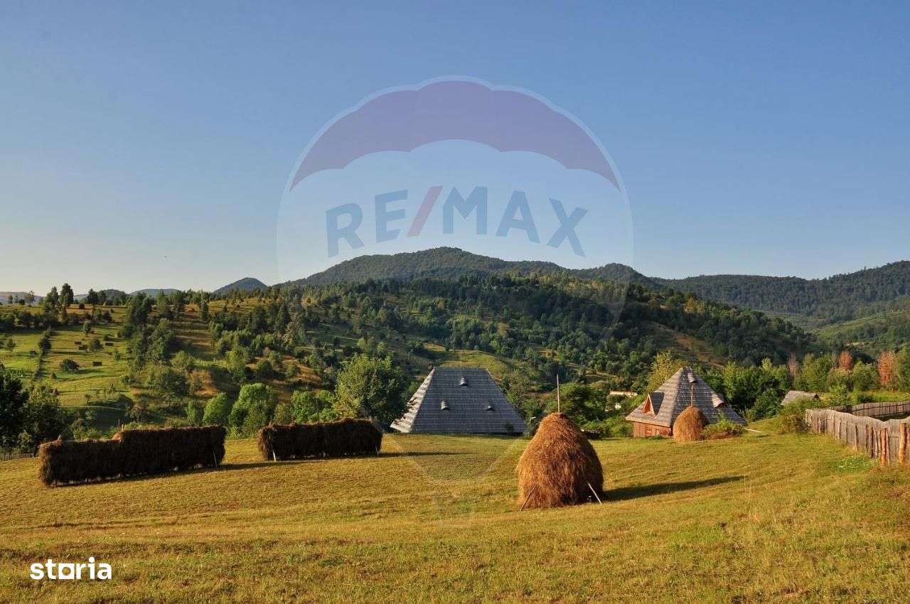 Vanzare 3 case de vacanta si 15750 mp teren, Botiza, Maramures-1