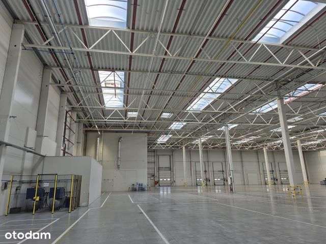 Nowoczesny magazyn na podnajem w Tychach - Pełny obrazek: 5/7