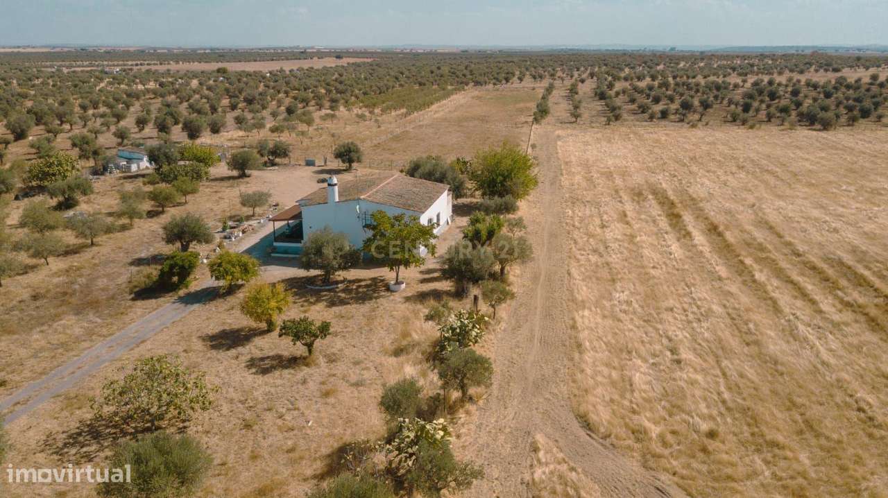 Monte Zorreiras em Mourão - Oportunidade Única no Coração do Alentejo-24