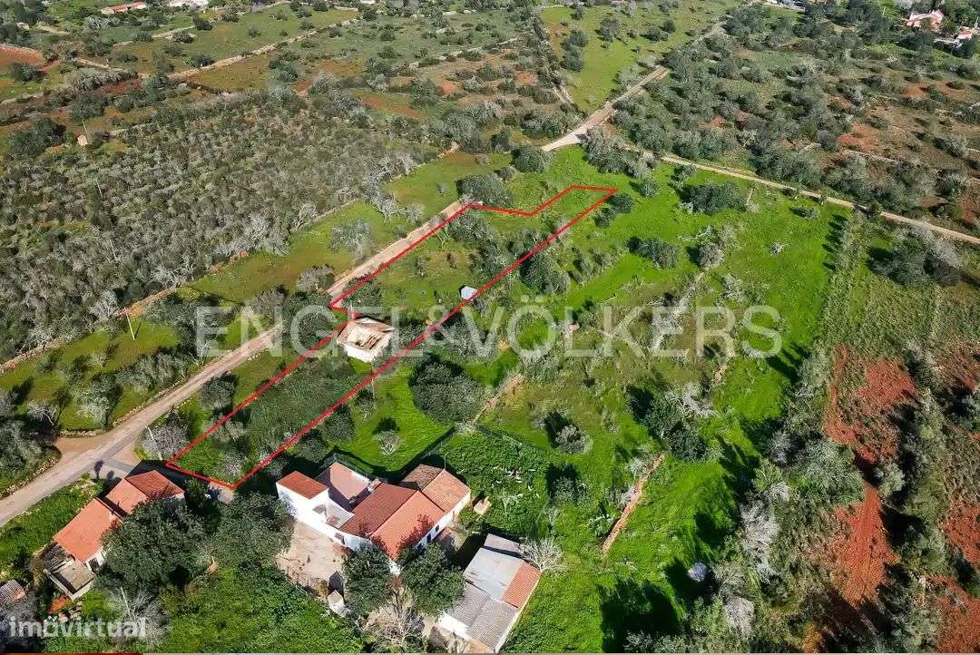 Terreno com ruína para reabilitar e/ou ampliar - Grande imagem: 4/10