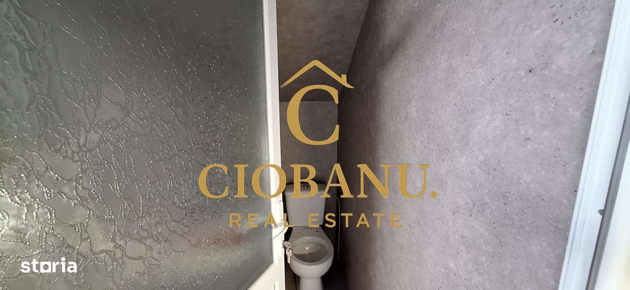 Hala de vanzare in Racari de Jos-11