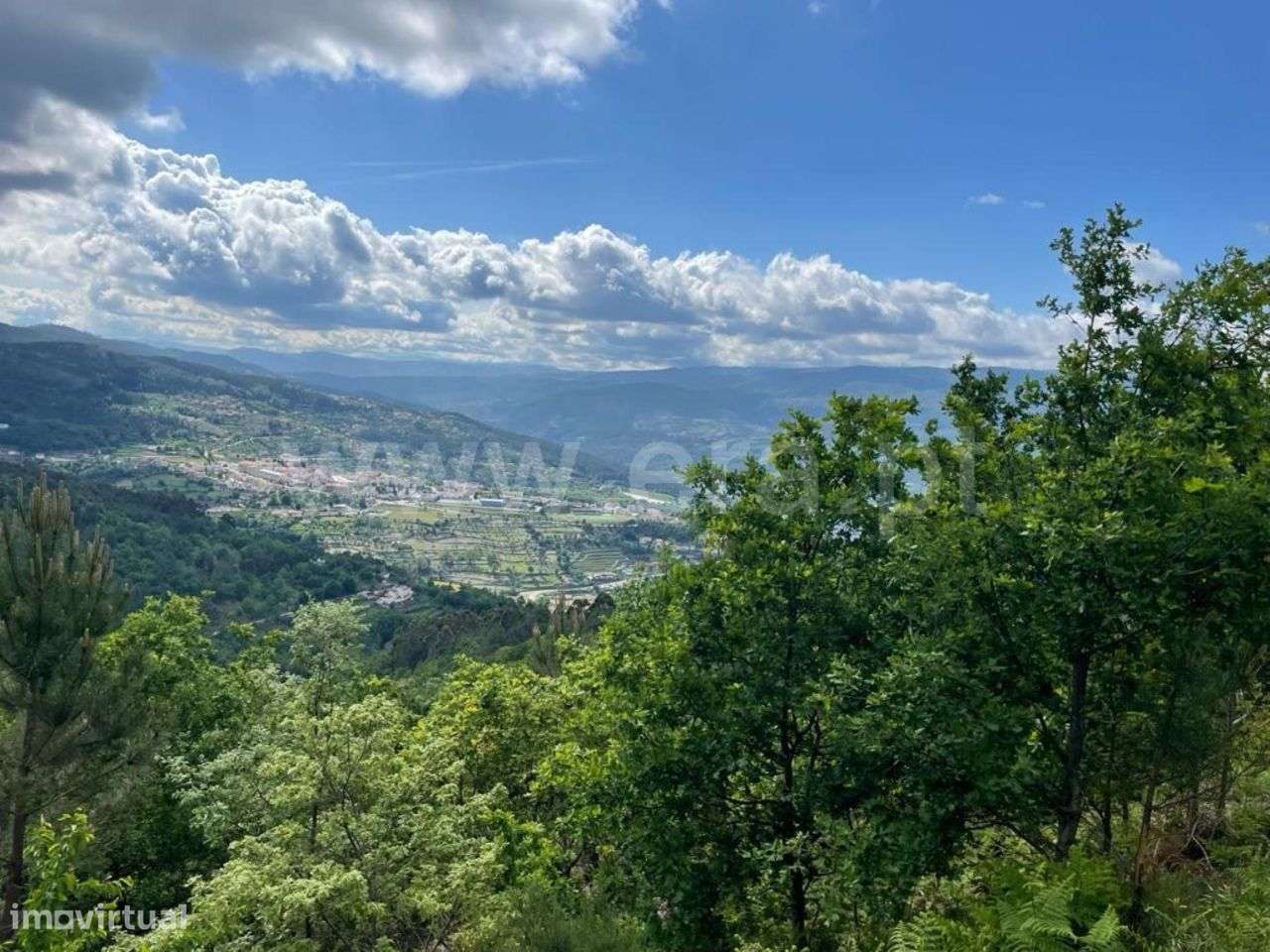 Terreno com ruína em Ribeira de Pena - Grande imagem: 5/5
