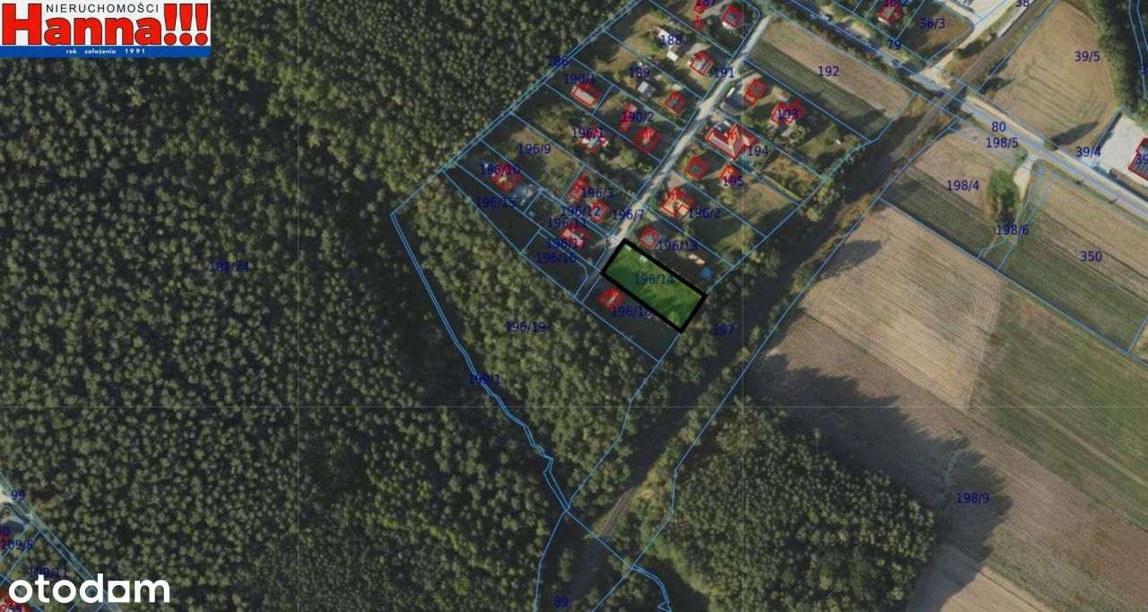 Duża płaska działka budowlana. Rębiechowo/Banino.-6