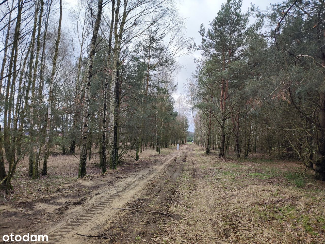 Działki rekreacyjne – Skęczniew k. Jeziorska