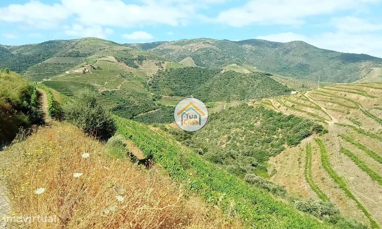 Vinha com 12 Ha, na Região Vinhateira do Alto Douro - Grande imagem: 5/17