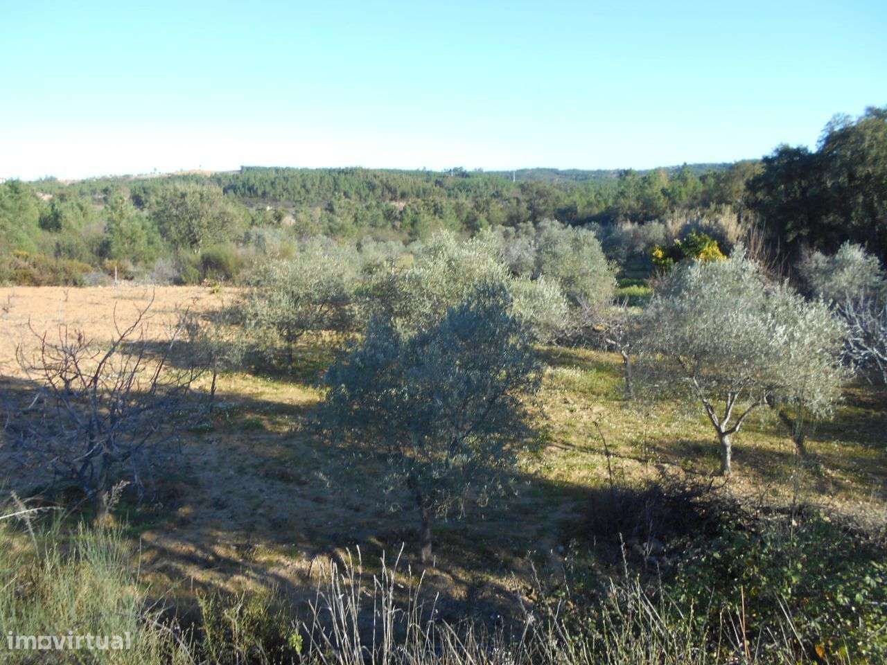 Terreno - Grande imagem: 3/7