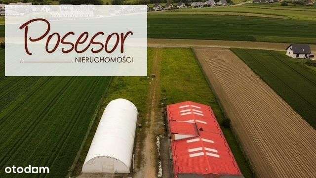 Hale Żory ul. Folwarecka-12