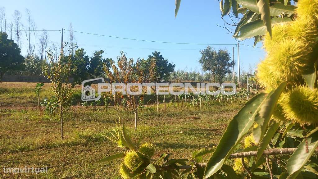 Terreno Urbano Assilhó - 1.268m2 - Grande imagem: 4/4