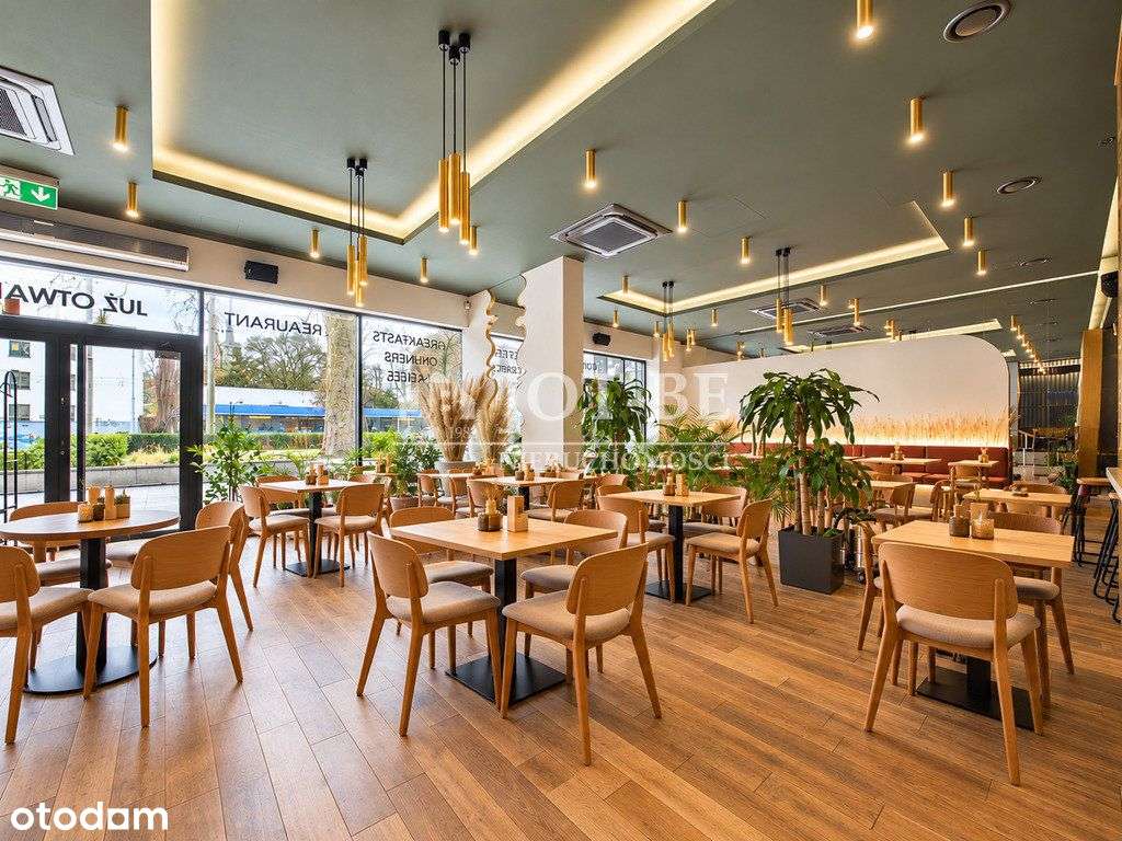 Lokal inwestycyjny z najemcą przy ogrodzie botanic