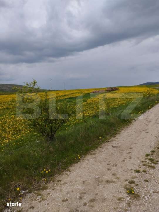 Teren extravilan 3621 mp, in Petrestii de Mijloc - Imagine principală: 2/5