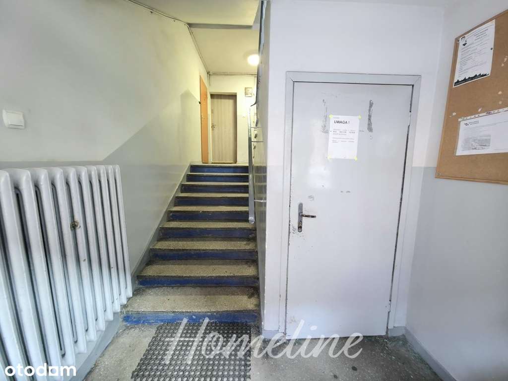 Słoneczne rozkładowe mieszkanie przy cichej ulicy-13