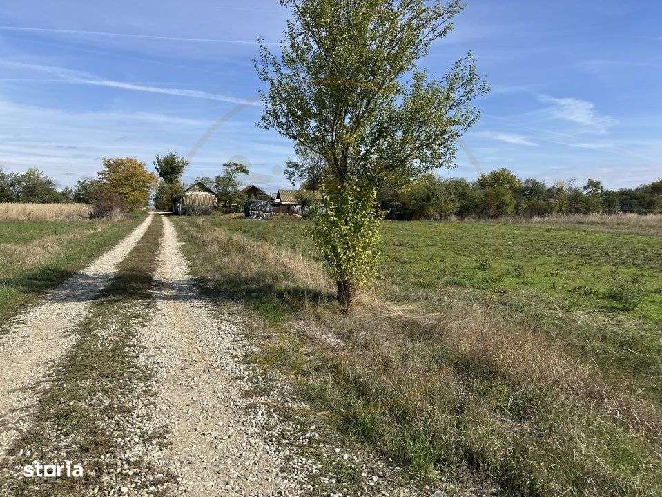 Teren intravilan 3700 mp  - zona linistita-3