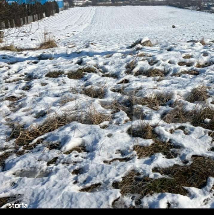 Teren intravilan in Tg-Mures, zona Shopping City - Imagine principală: 2/2