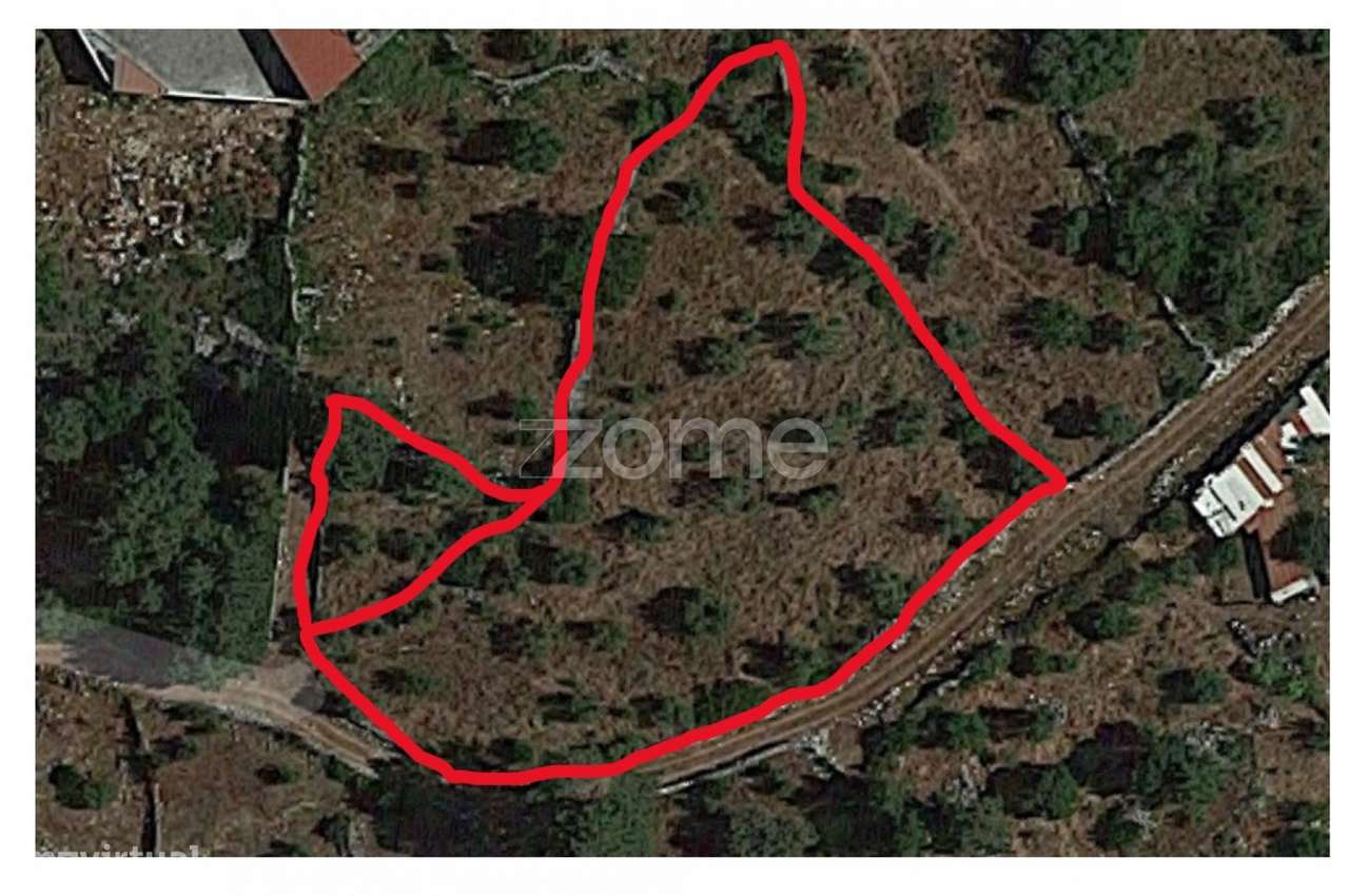 Terrenos Murados ( Cerrados ) em Mira de Aire - Grande imagem: 3/23