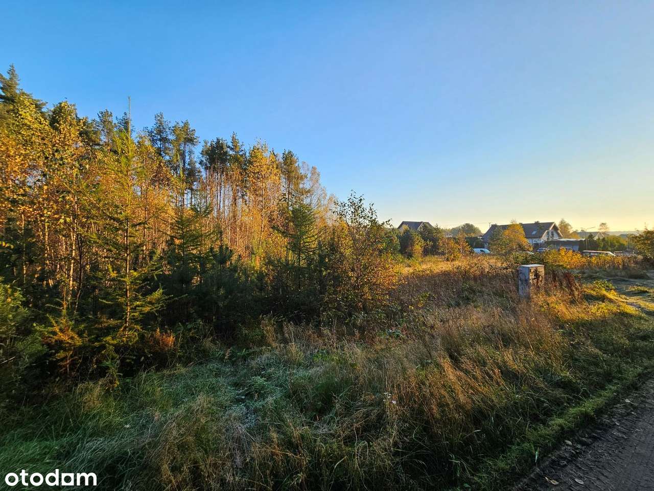 Działka Leśniewo 1062 m², przy lesie, cisza i spokój, wydane WZ-5