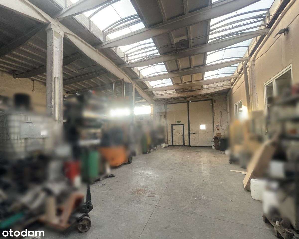 Mniszek/ Magazynowa! Hala 300 m2 - Pełny obrazek: 5/10
