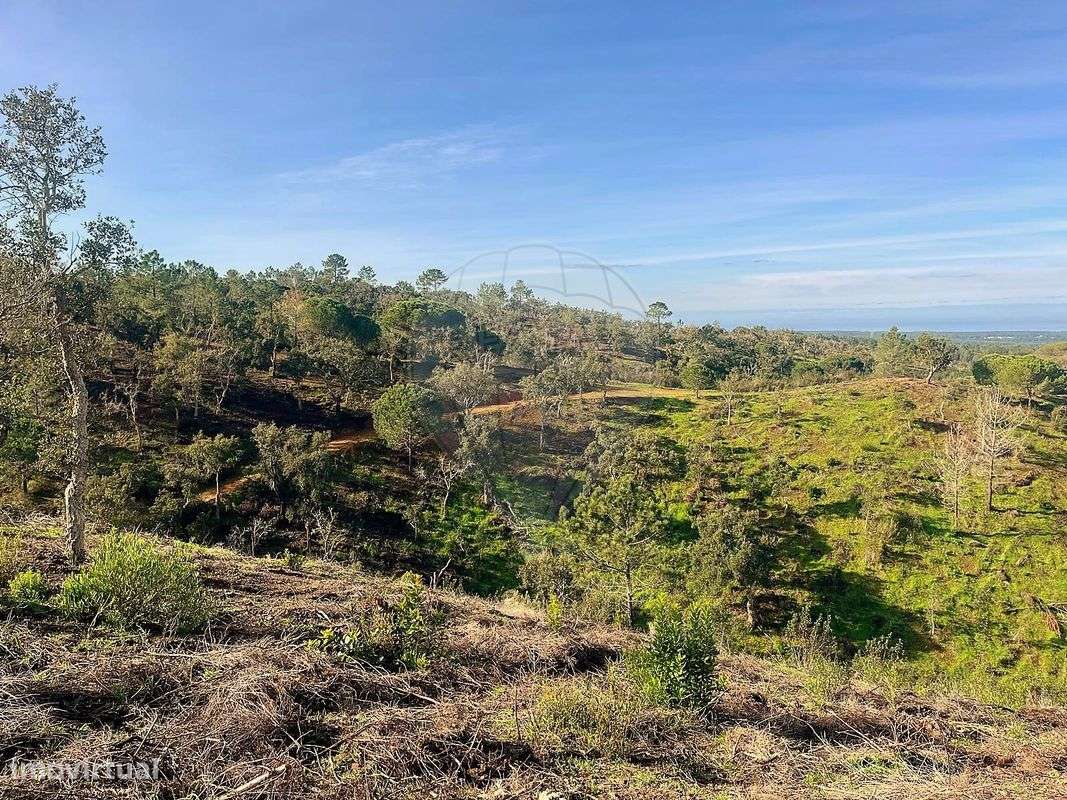 Terreno  para venda - Grande imagem: 4/8