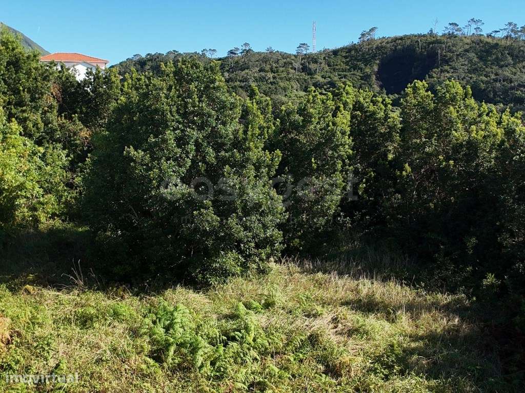 Terreno com Vista Mar - São Mateus, Madalena do Pico - Grande imagem: 5/12