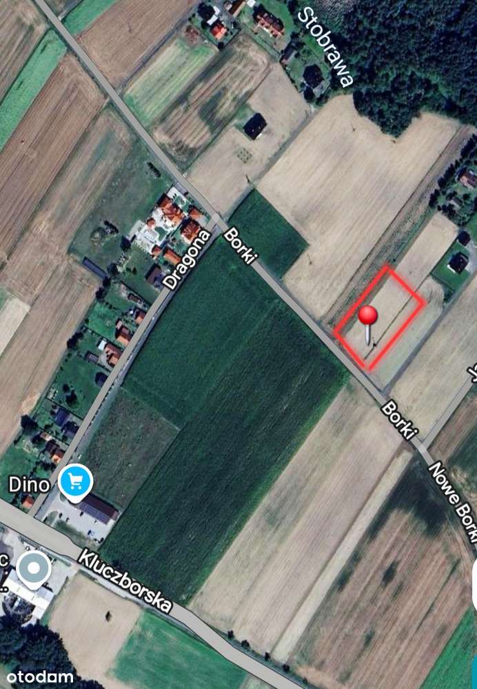 Działka Wojciechów w pobliżu lasu i ośrodka wypoczynkowego!-6