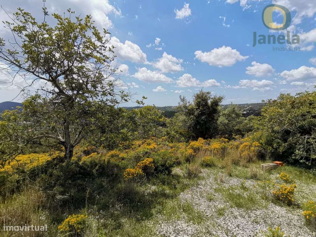 Moradia inserida em terreno com 5.000 m2, com vista mar e serra - Grande imagem: 3/19