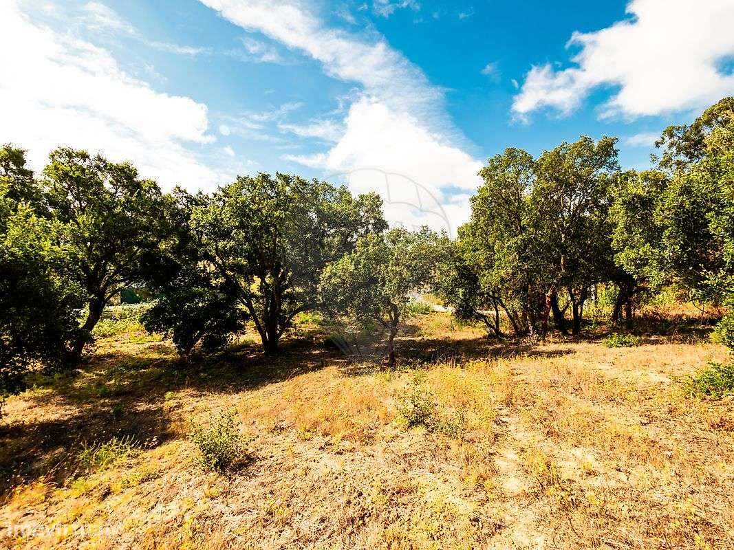 Terreno  para venda - Grande imagem: 2/6