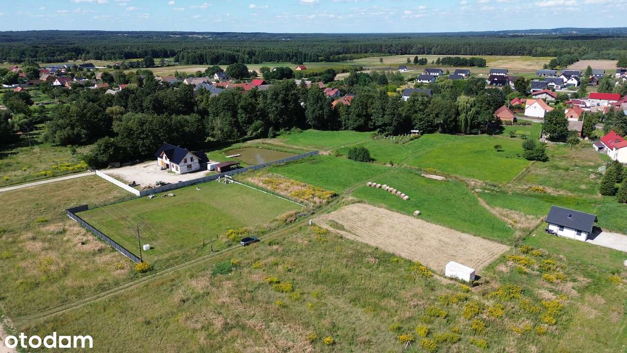 DZIAŁKA  Budowlana 11,04 AR – KASZOWO, GMINA MILICZ – LAS DOlina Baryc-7