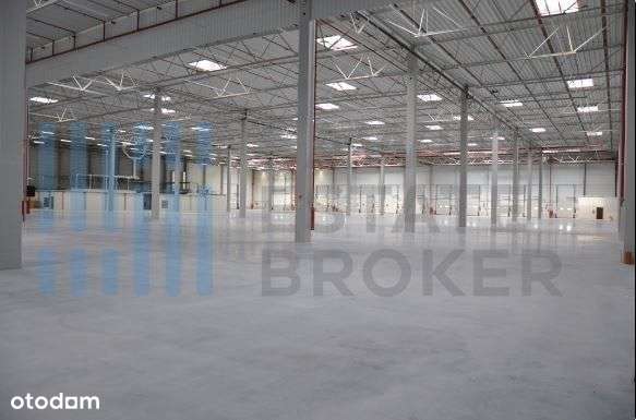 Hala klasy"A" Dąbrówka -bez prowizji - Pełny obrazek: 5/6