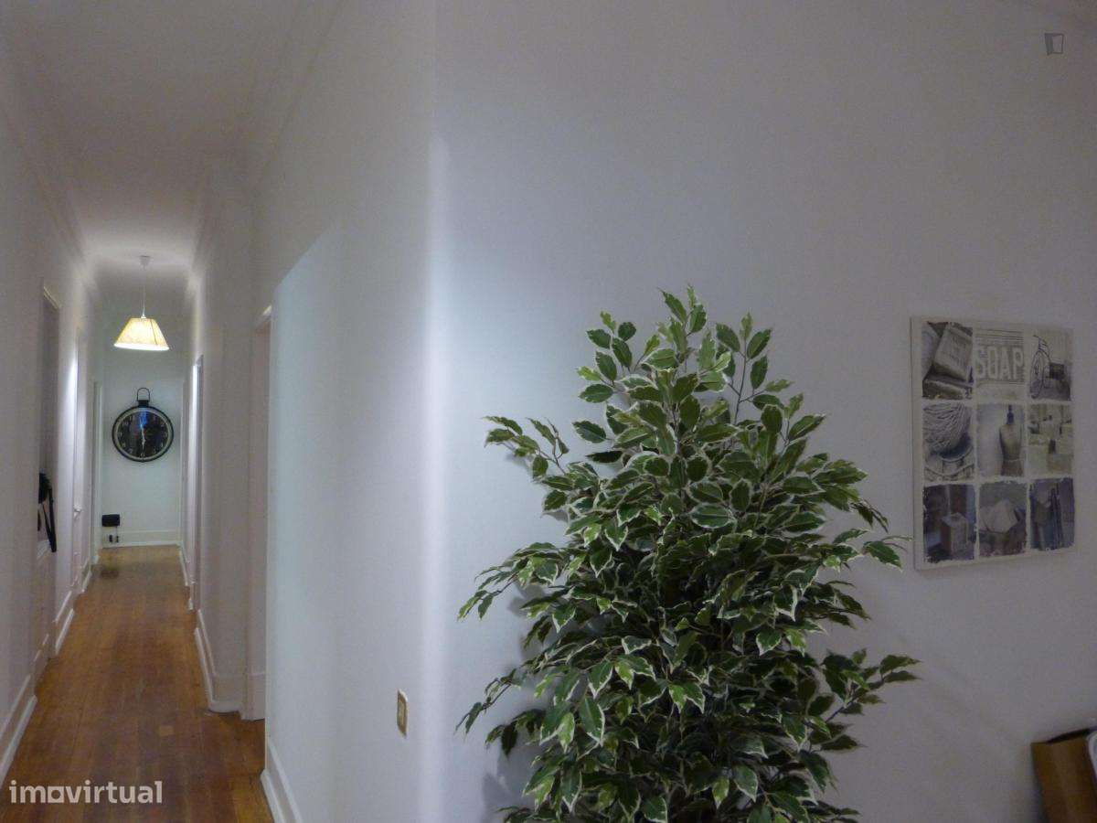 Quarto - localizado em Saldanha Lisbon - Grande imagem: 2/6