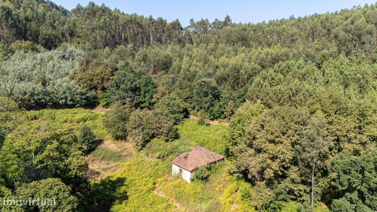 Moradia T3 para Reabilitar Terreno com 1,06 Ha  em Celorico de Basto - Grande imagem: 5/24