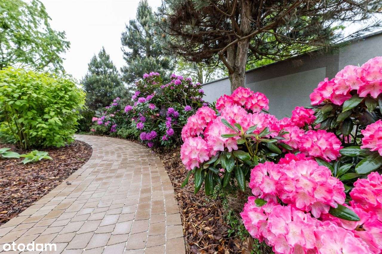 dom parterowy | duża działka | piękny ogród-18