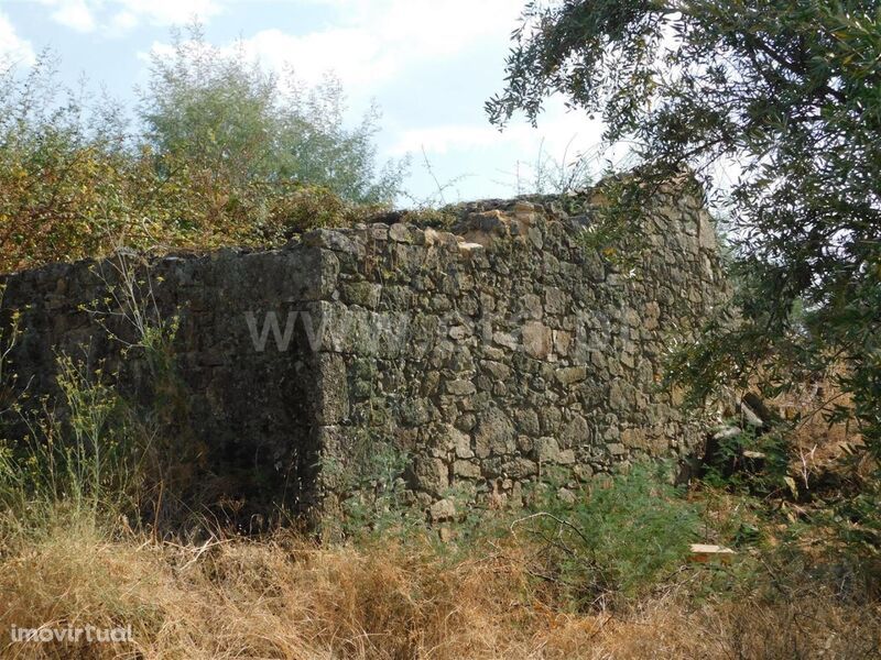 Quintinha / Fundão, Atalaia do Campo