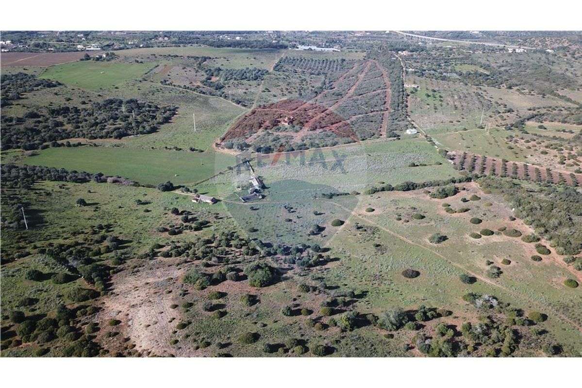 Fantático Terreno com viabilidade de construção - Grande imagem: 4/13