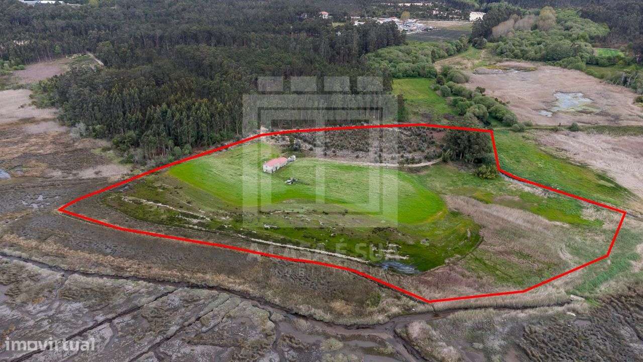 Terreno + Moradia T3 com vista para a Ria de Aveiro - Grande imagem: 4/15