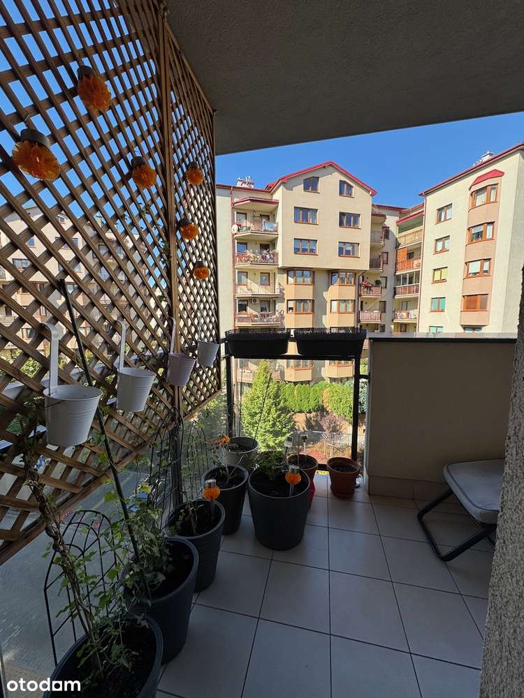 sprzedaż pilna, tylko dla klientów gotówkowych-5