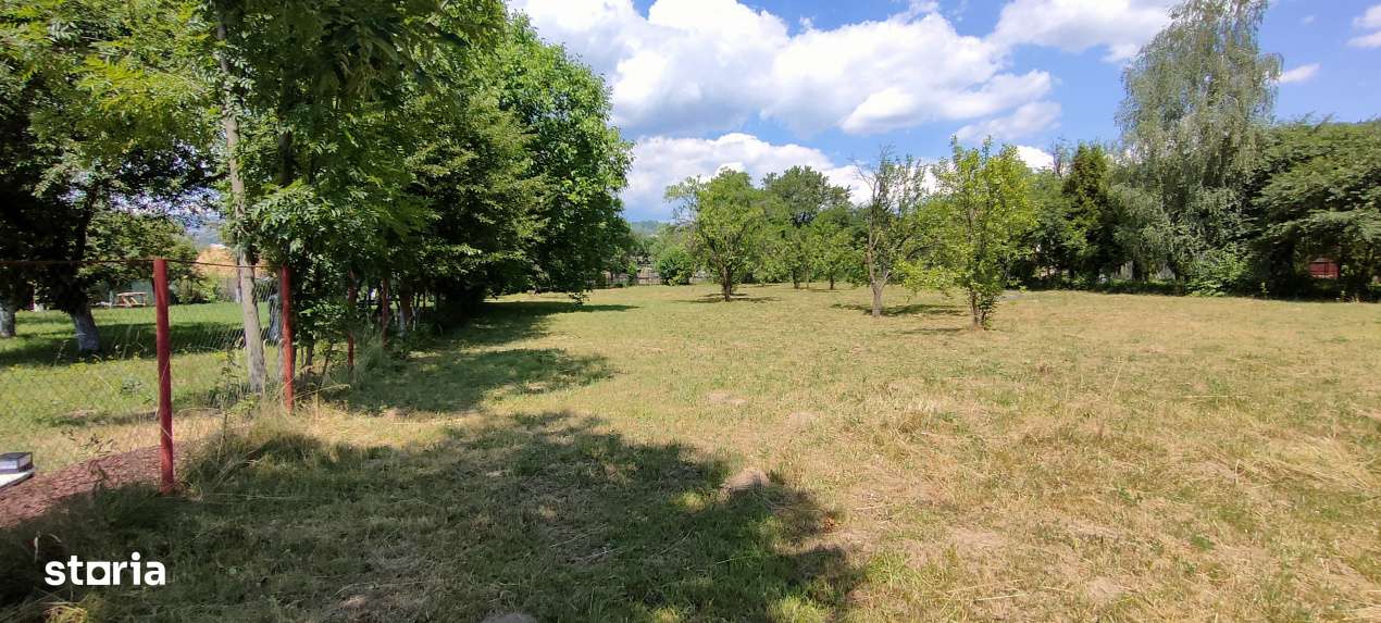 Comarnic(Ph) – doua terenuri cu toate utilitatile, asfalt, padure-0