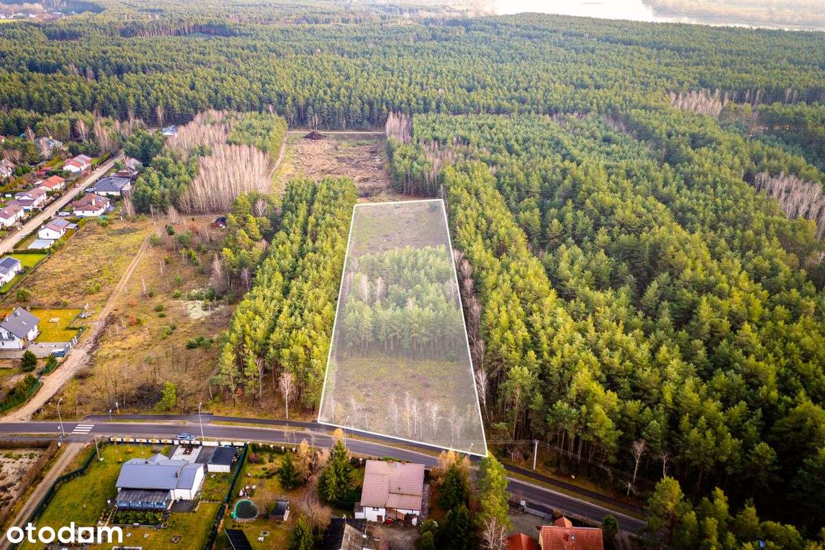 Duża działka częściowo zalesiona niedaleko jeziora - Pełny obrazek: 2/10