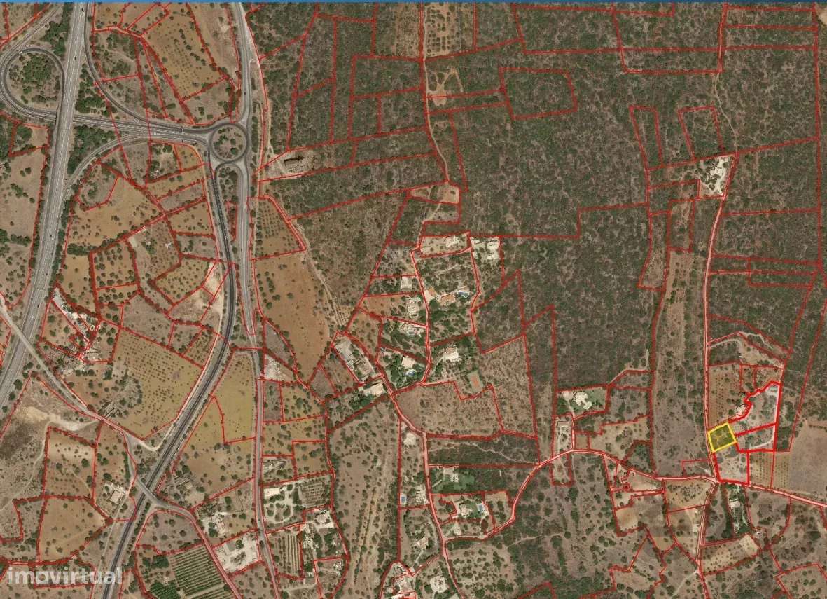 Terreno Rústico em Moncarapacho | Ideal para Agricultura, Lazer ou Inv - Grande imagem: 5/5