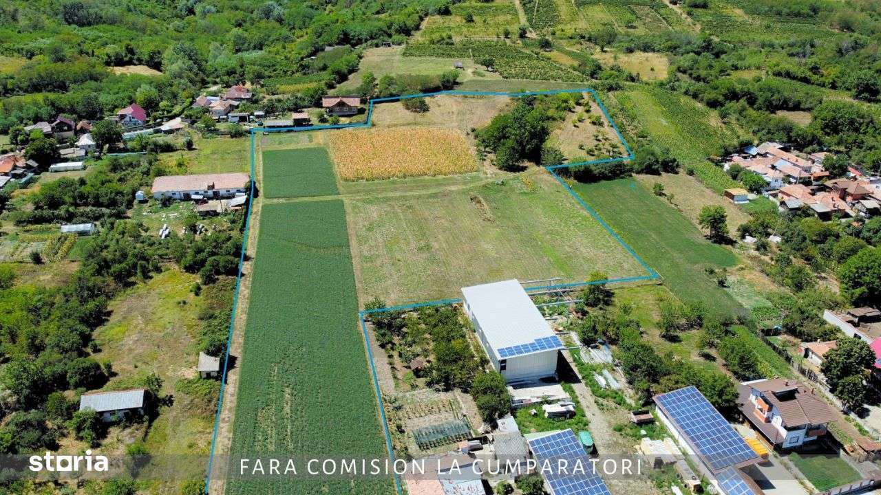 CRAMA - Oportunitate Unica in Domeniul Viticol-10