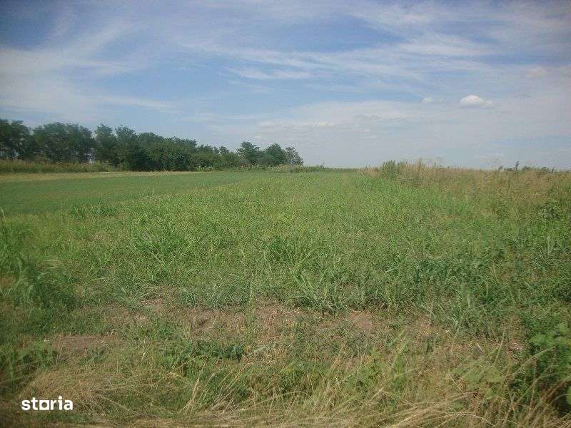 Teren extravilan Boldesti Gradistea, Prahova - 3089300-0