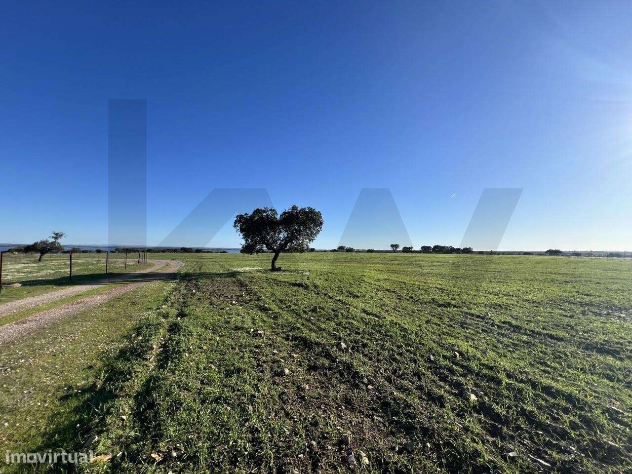 Herdade Exclusiva Junto à Barragem do Alqueva – Investimento Turístico-31