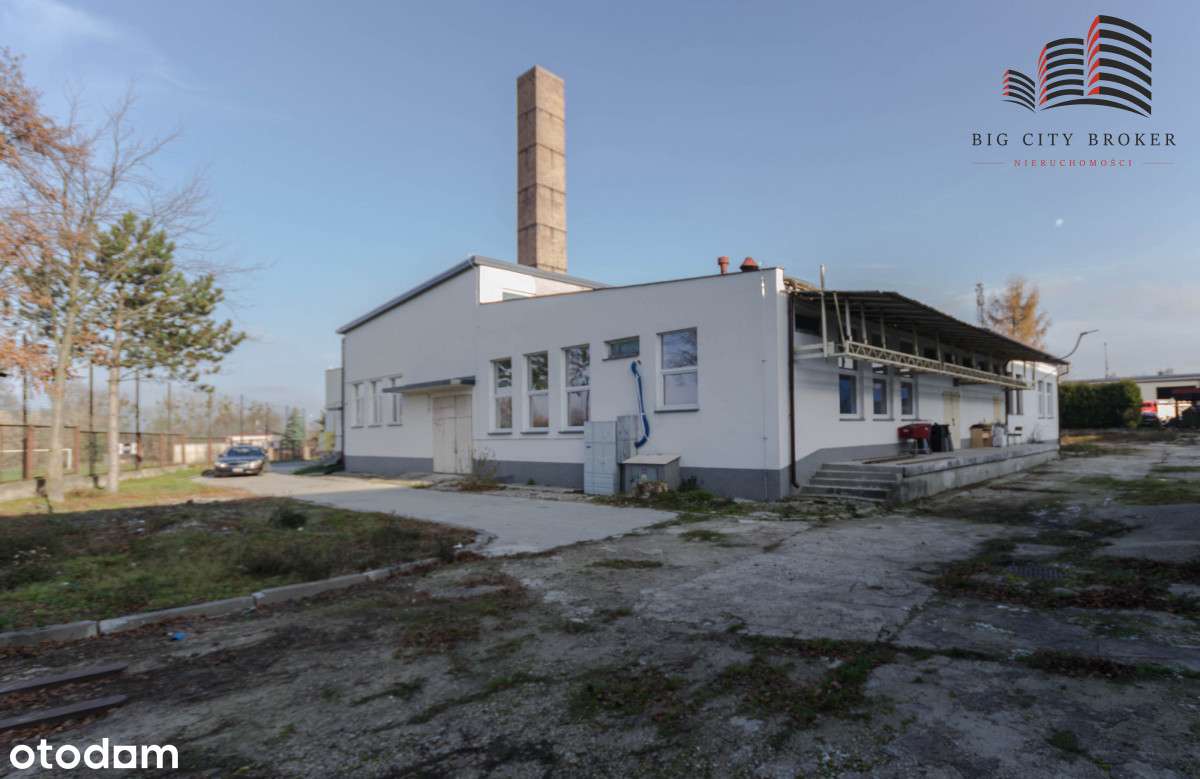 Hala handlowo-usługowa - Pełny obrazek: 4/11