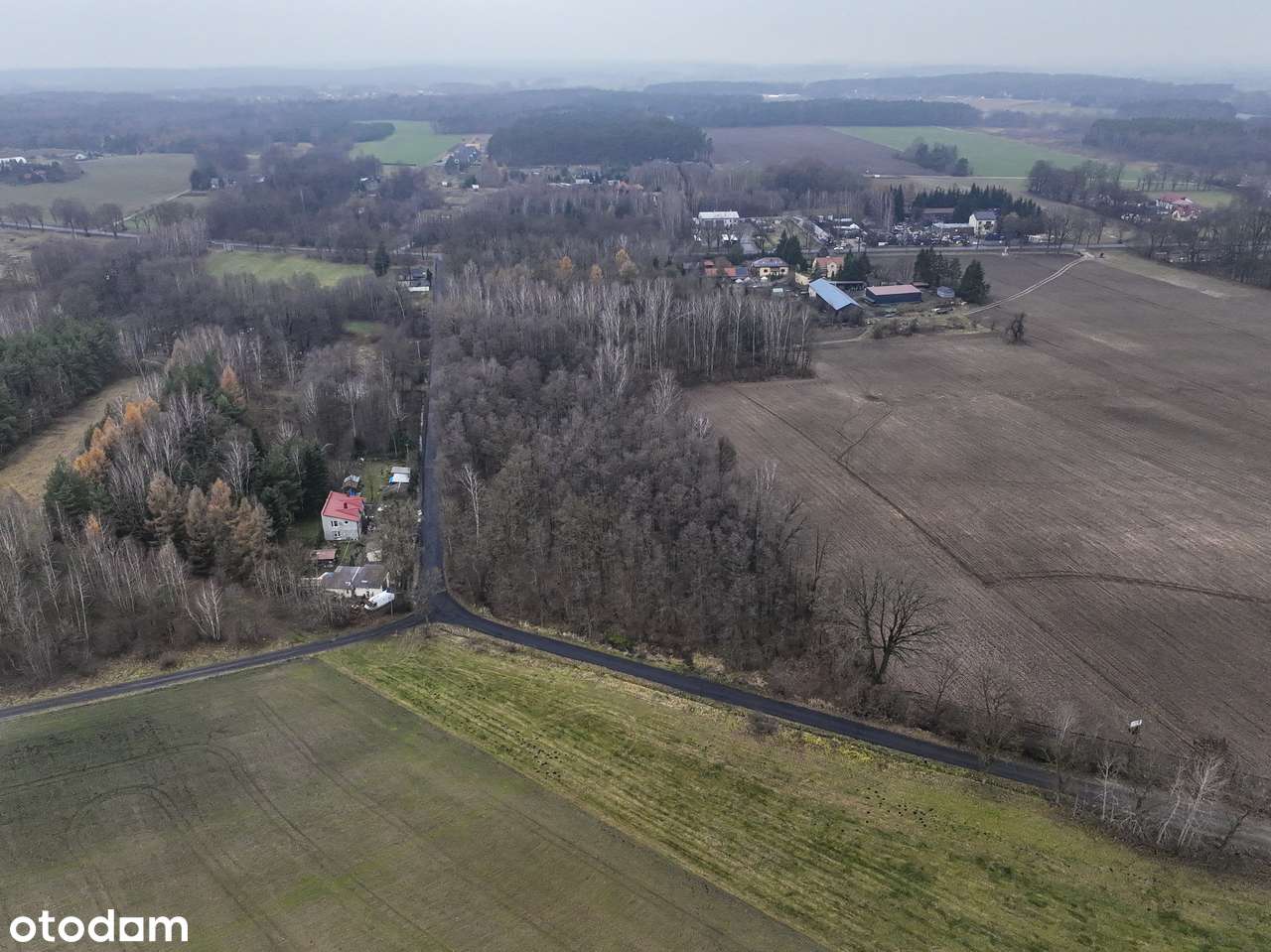 Pęchcin | Działka BUDOWLANA 1133 m² | Z Wydanymi Warunkami Zabudowy! - Pełny obrazek: 4/14