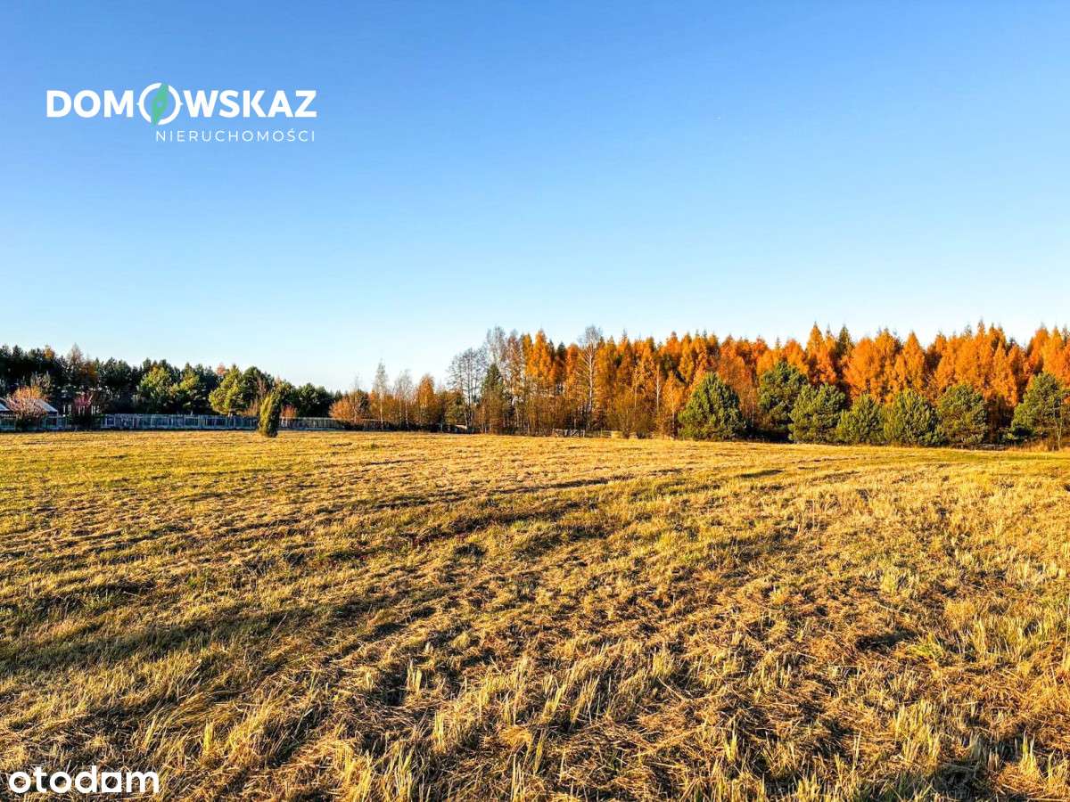 Krajobrazy Jury Krakowsko-Częstochowskiej - Pełny obrazek: 5/11