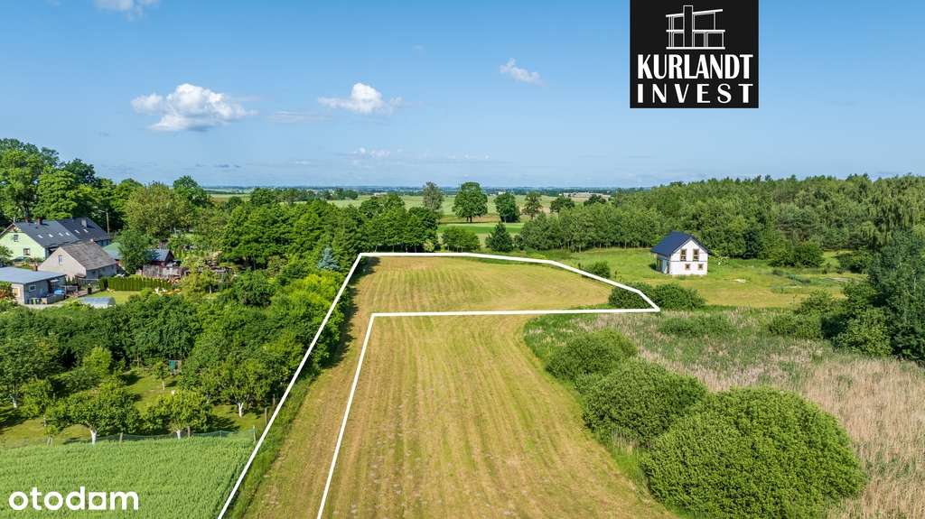 Działka Warunki Zabudowy 3953 m² - Pełny obrazek: 4/6