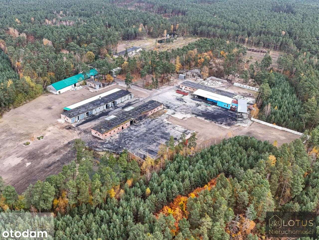 Teren Przemysłowy Z Obiektami Magazynowymi - Pełny obrazek: 5/14