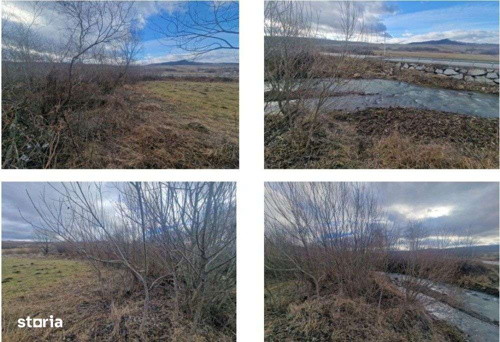 Constructii - 3.795 mp + Teren intravilan - 28.684 mp, Dorolea - Imagine principală: 3/14