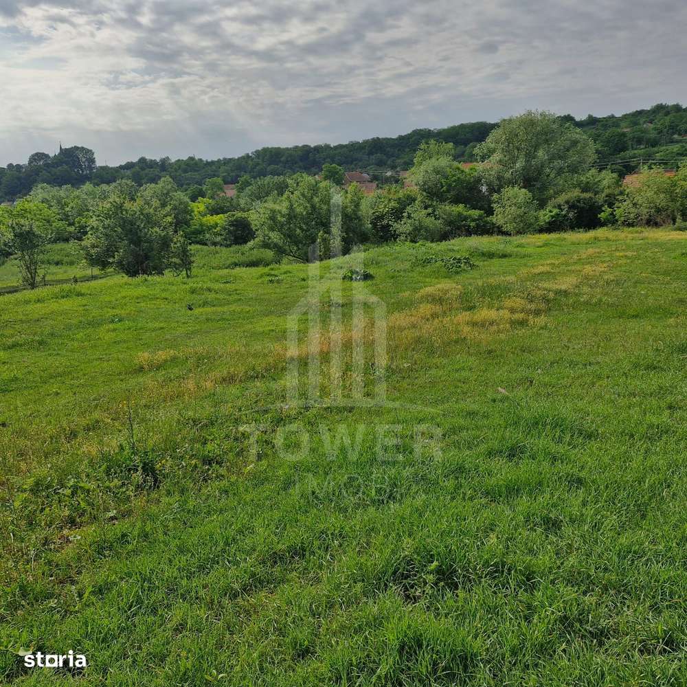 De vânzare Teren versatil 3.919 mp  in localitatea Armeni. Sibiu - Imagine principală: 3/14
