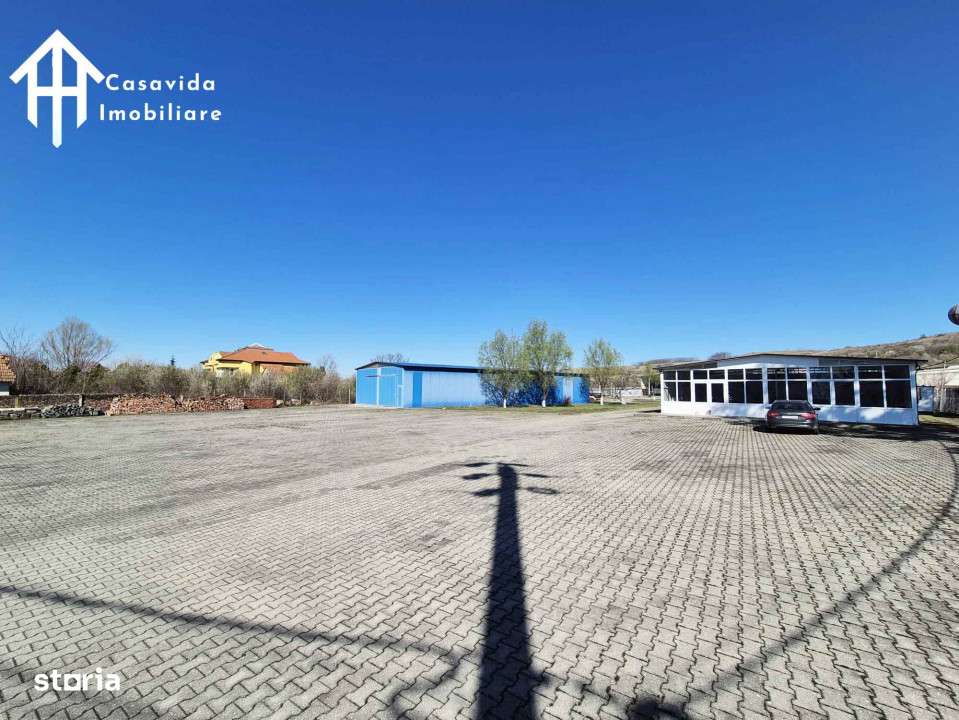 De inchiriat hale si showroom in Lugoj - Imagine principală: 3/10