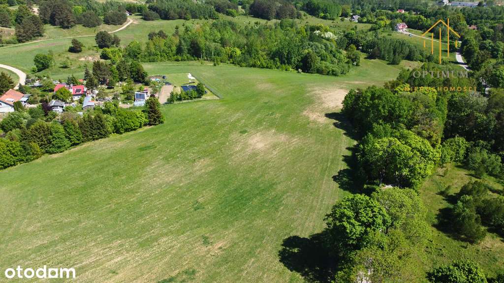 Działka Bukwałd 8781m2 - Pełny obrazek: 4/5