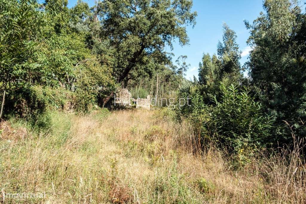 BAIXA DE PREÇO - Moradia para restauro + terreno em Aguiar, Barcelos - Grande imagem: 5/17